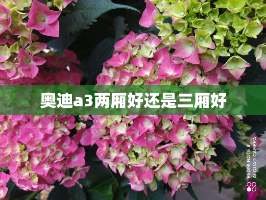 奥迪a3两厢好还是三厢好