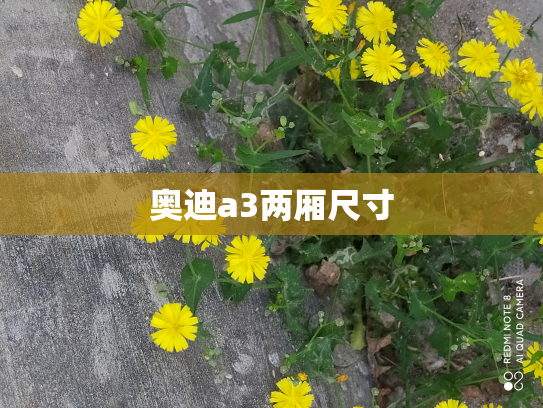 奥迪a3两厢尺寸
