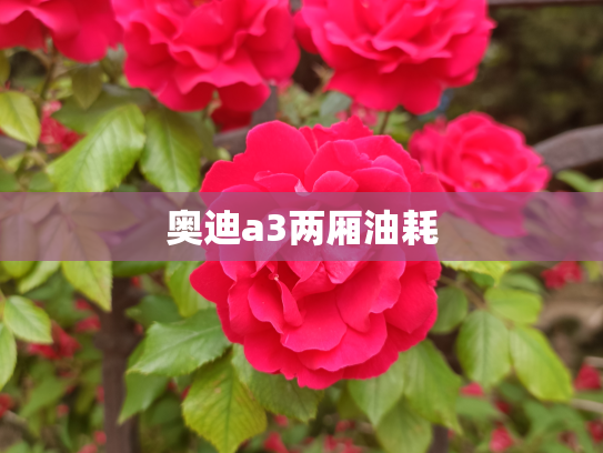 奥迪a3两厢油耗