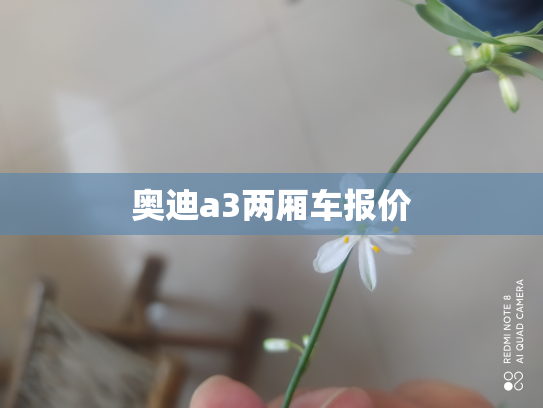 奥迪a3两厢车报价