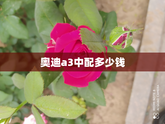奥迪a3中配多少钱