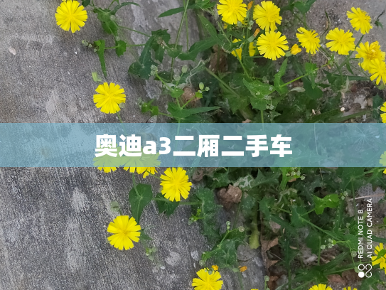 奥迪a3二厢二手车