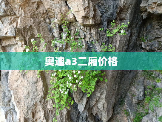奥迪a3二厢价格