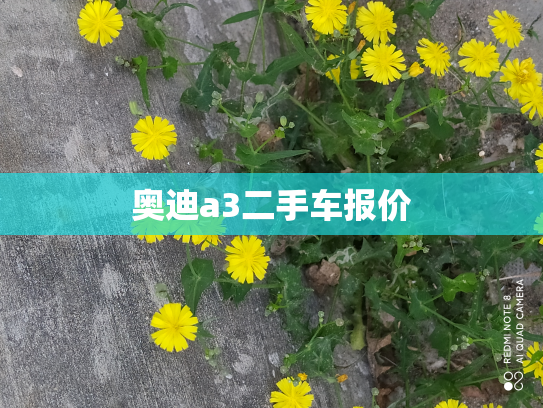 奥迪a3二手车报价
