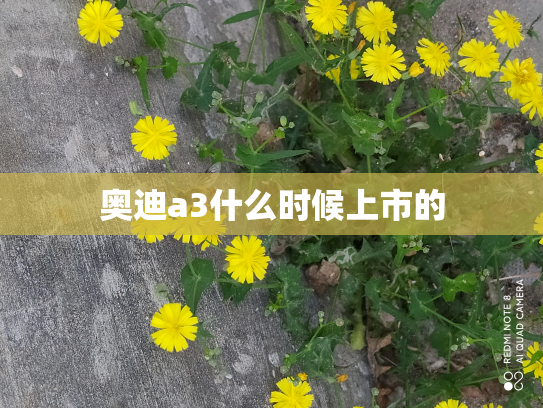 奥迪a3什么时候上市的