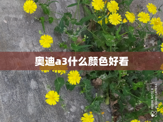 奥迪a3什么颜色好看