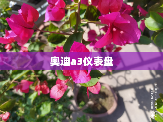 奥迪a3仪表盘