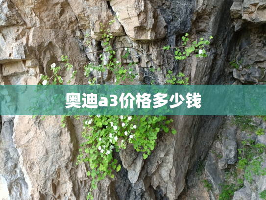 奥迪a3价格多少钱