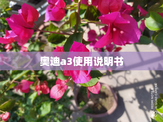 奥迪a3使用说明书