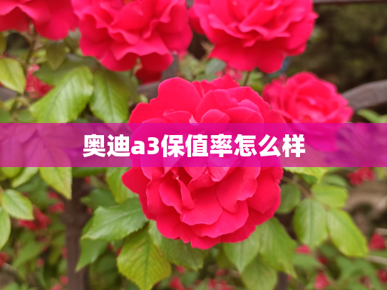 奥迪a3保值率怎么样