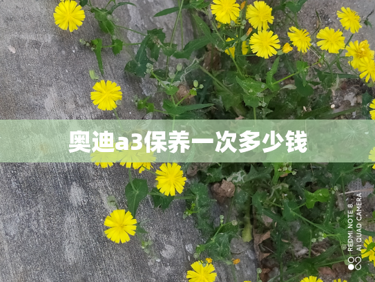 奥迪a3保养一次多少钱