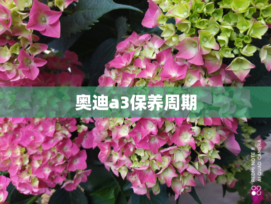 奥迪a3保养周期
