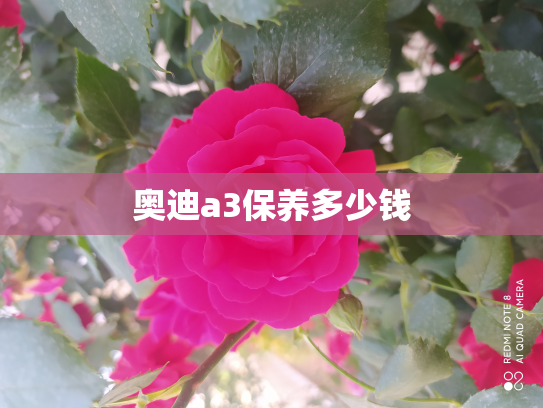 奥迪a3保养多少钱