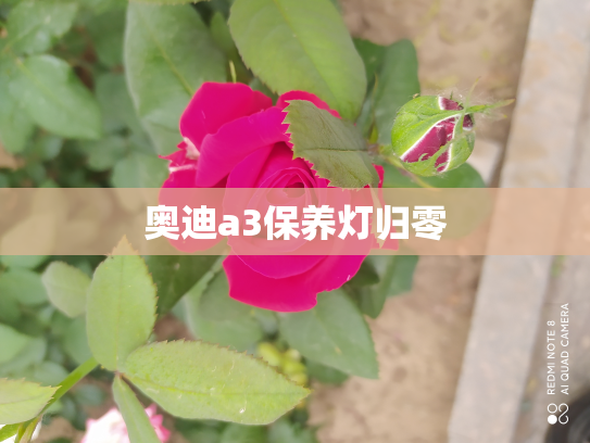 奥迪a3保养灯归零