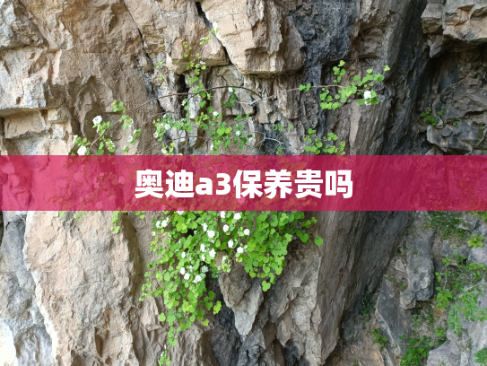 奥迪a3保养贵吗