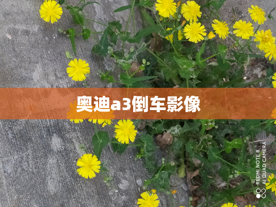 奥迪a3倒车影像
