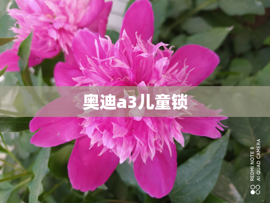 奥迪a3儿童锁