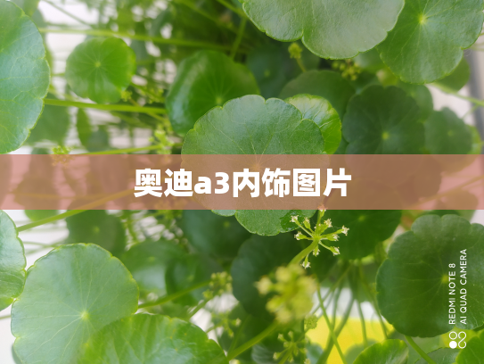 奥迪a3内饰图片