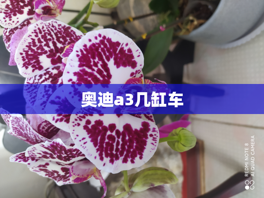 奥迪a3几缸车