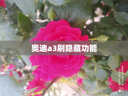 奥迪a3刷隐藏功能