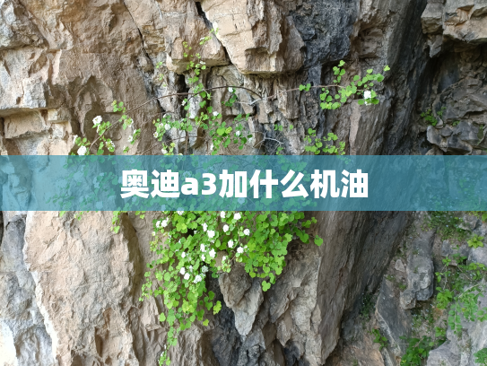 奥迪a3加什么机油