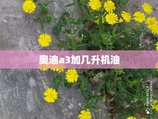 奥迪a3加几升机油