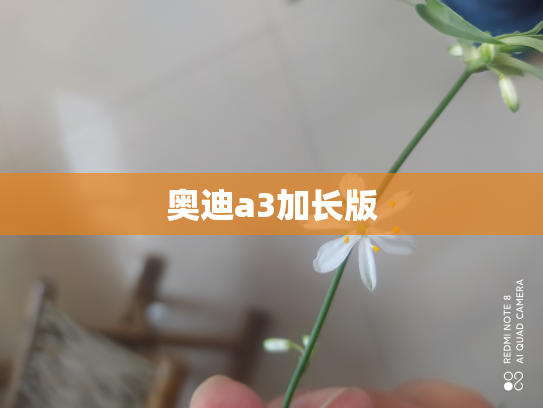 奥迪a3加长版