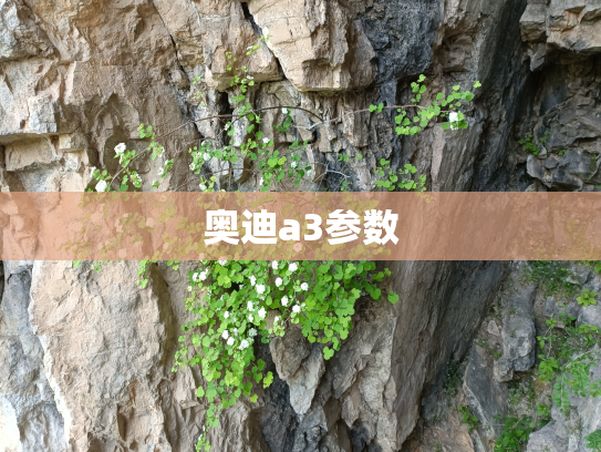 奥迪a3参数
