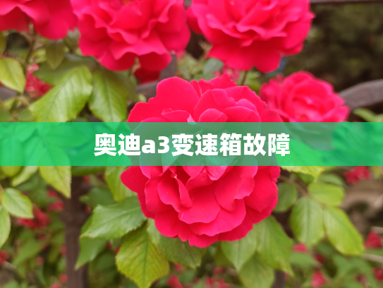 奥迪a3变速箱故障