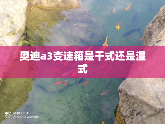 奥迪a3变速箱是干式还是湿式