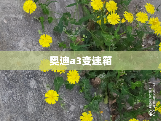 奥迪a3变速箱