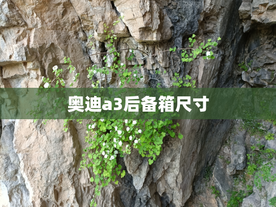 奥迪a3后备箱尺寸