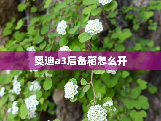 奥迪a3后备箱怎么开