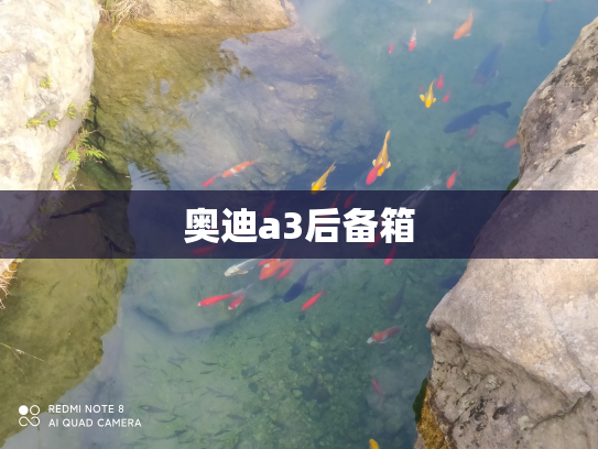 奥迪a3后备箱