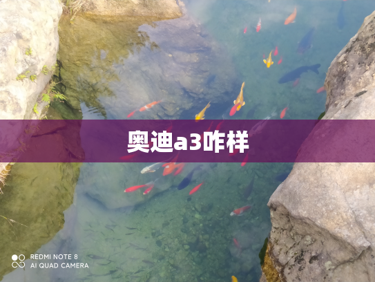 奥迪a3咋样