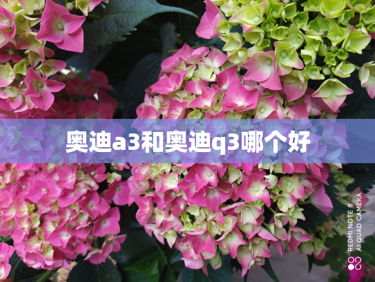 奥迪a3和奥迪q3哪个好