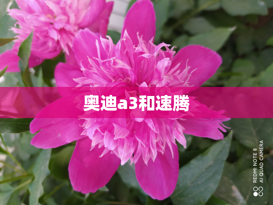 奥迪a3和速腾
