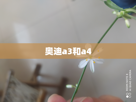 奥迪a3和a4