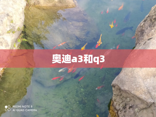 奥迪a3和q3
