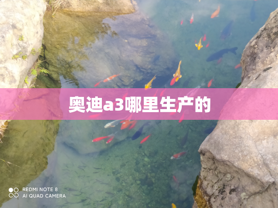 奥迪a3哪里生产的