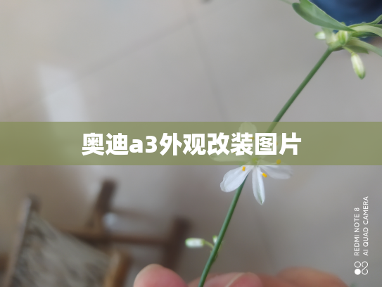 奥迪a3外观改装图片