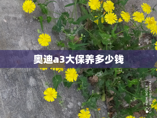 奥迪a3大保养多少钱