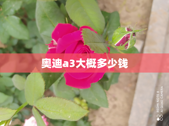 奥迪a3大概多少钱