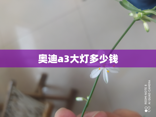 奥迪a3大灯多少钱