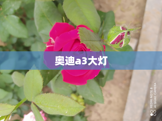 奥迪a3大灯