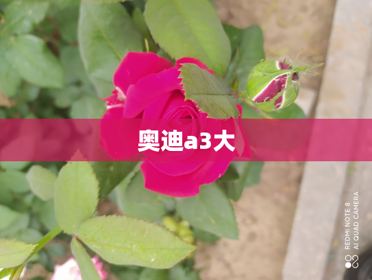 奥迪a3大