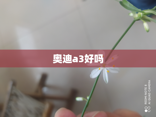奥迪a3好吗