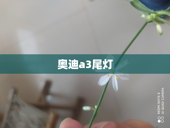 奥迪a3尾灯