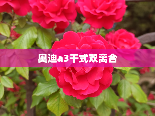 奥迪a3干式双离合