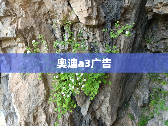 奥迪a3广告